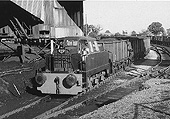 Rolls Royce 0-6-0 Works No 10255 is seen shunting fully laden bogie wagons at Baddesley Colliery
