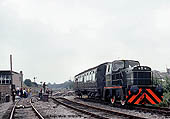 Army 254, a Diesel Hydraulic locomotive, departs from Fenny Compton with an enthusiasts special